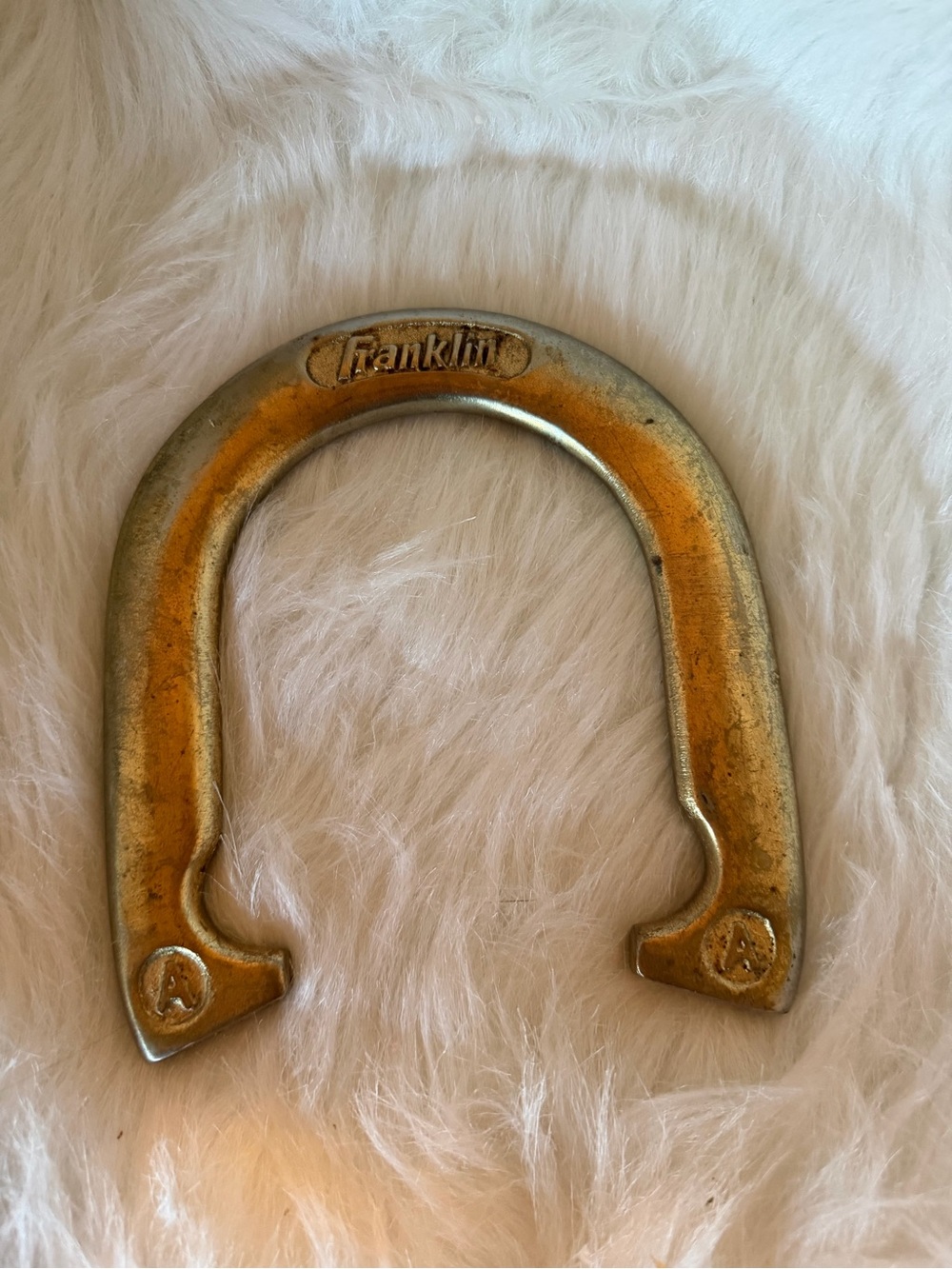 Franklin Gold Horseshoe Decor